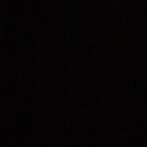 Meet your Posher, Ava